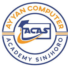 Ayyan Academy Logo